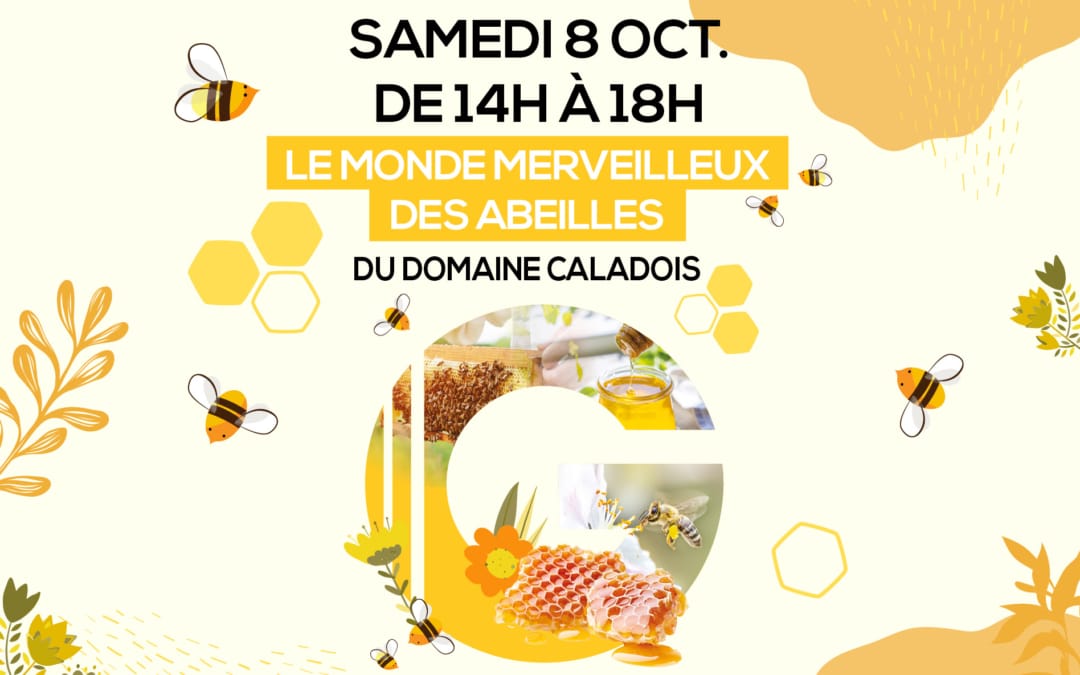 Le monde merveilleux des abeilles